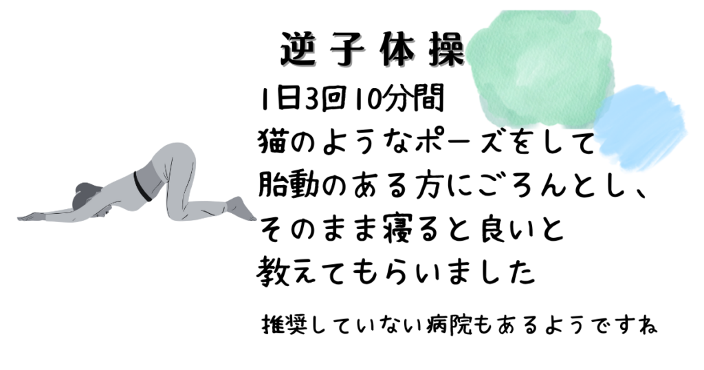 逆子体操　1日3回10分間猫のようなポーズをして胎動のある方にごろんとし、そのまま寝ると良いと教えてもらいました　推奨していない産院もあるようですね