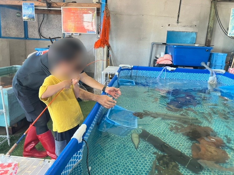 レッドシーブリーム 釣り堀